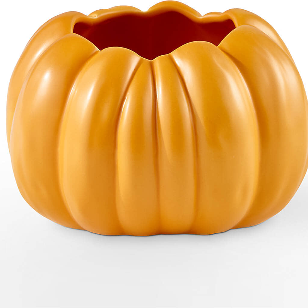 Pick of the Patch Pumpkin Bouquet – SHIRLEY'S FLOWERS & SWEETS, Nashua NH