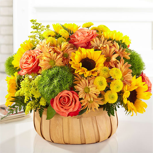 Harvest Sunflower Basket – SHIRLEY'S FLOWERS & SWEETS, Nashua NH