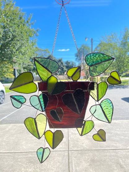 Stained Glass Pot of Pothos – SHIRLEY'S FLOWERS & SWEETS, Nashua NH