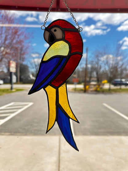 Stained Glass Macaw – SHIRLEY'S FLOWERS & SWEETS, Nashua NH
