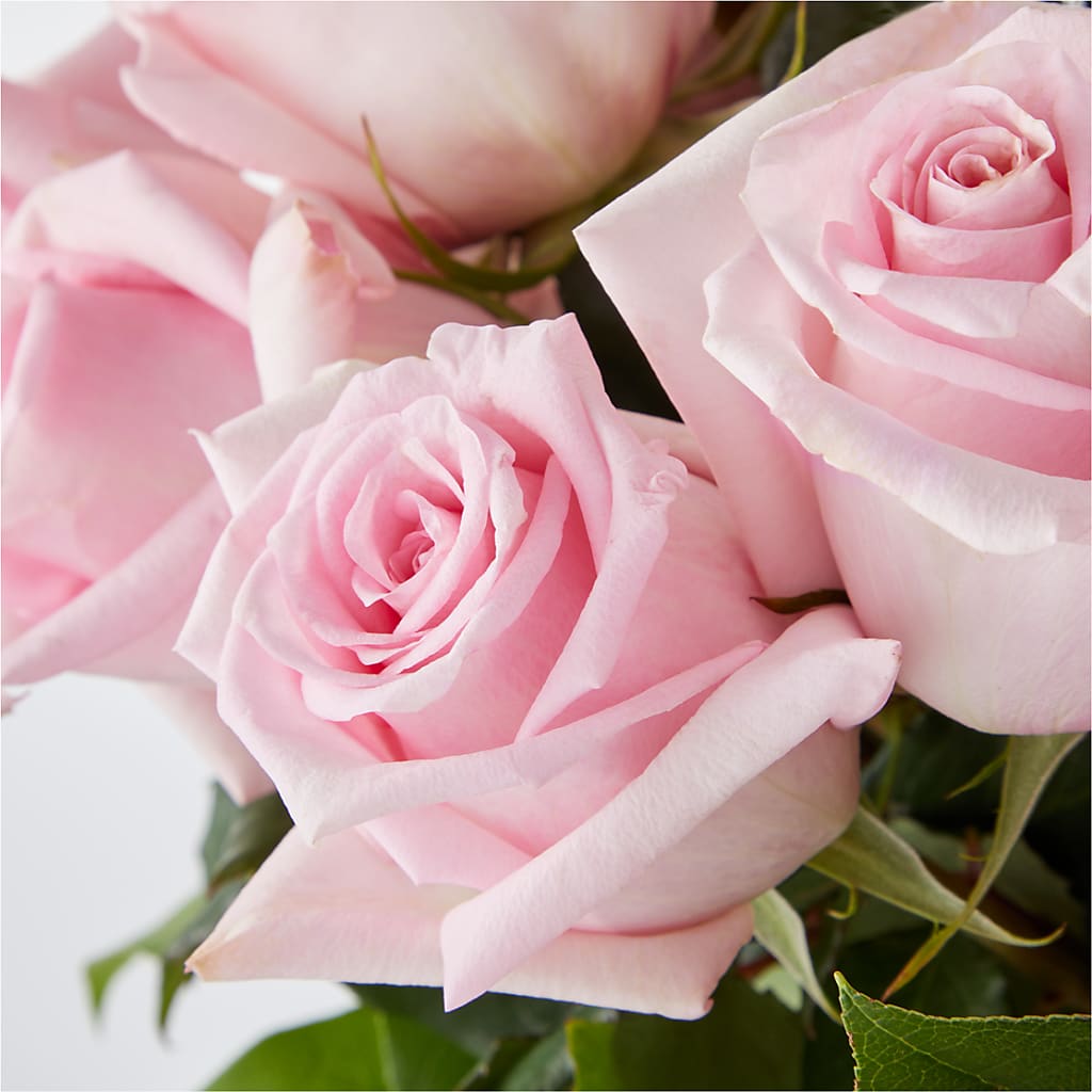 Picture Perfect Pink Rose Bouquet – SHIRLEY'S FLOWERS & SWEETS, Nashua NH