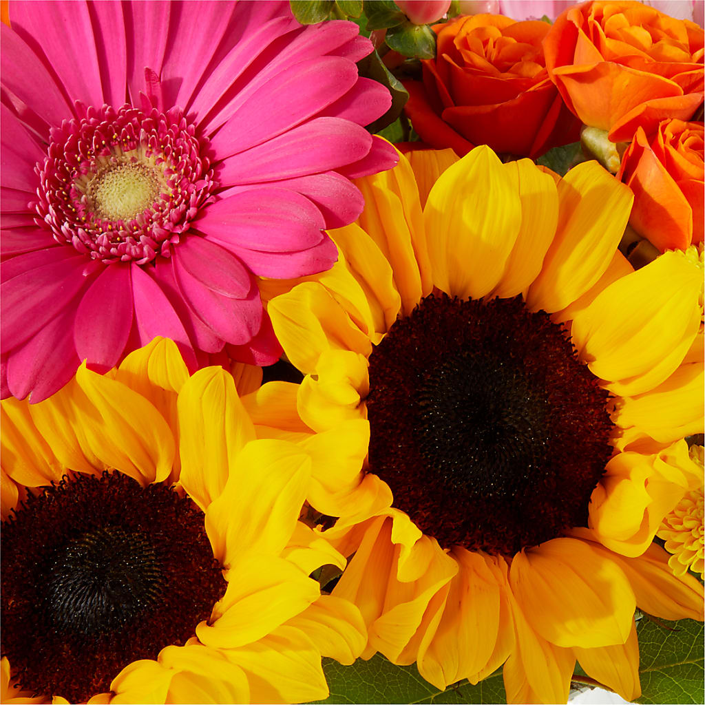 Beach Day Bouquet – SHIRLEY'S FLOWERS & SWEETS, Nashua NH