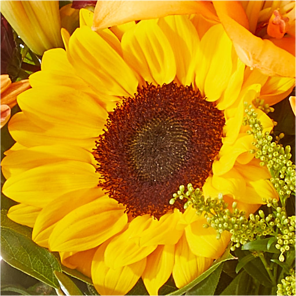 Seasons Change Bouquet – SHIRLEY'S FLOWERS & SWEETS, Nashua NH