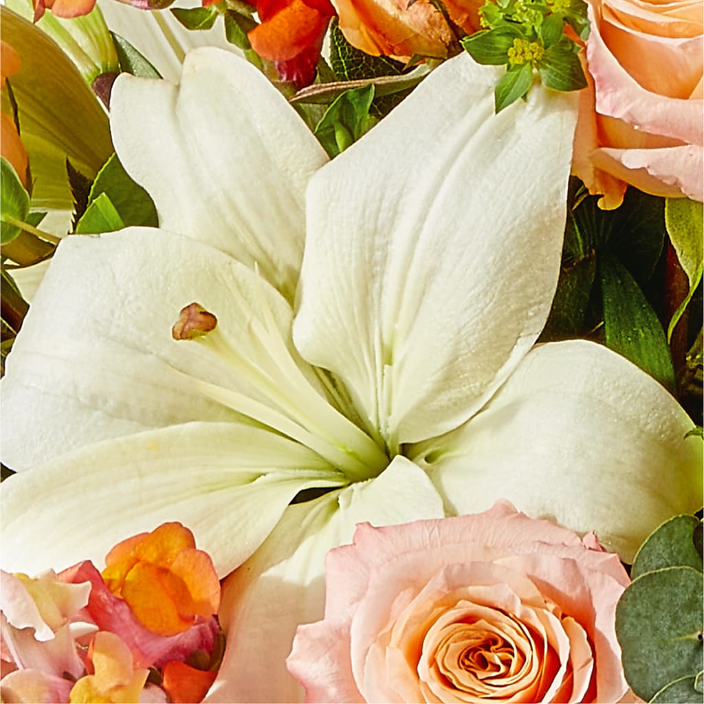Grapefruit Splash Bouquet – SHIRLEY'S FLOWERS & SWEETS, Nashua NH