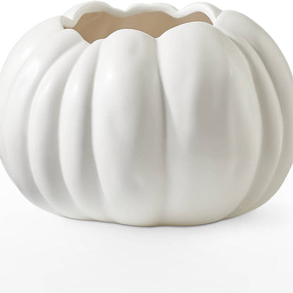 Pumpkin to Talk About Bouquet – SHIRLEY'S FLOWERS & SWEETS, Nashua NH