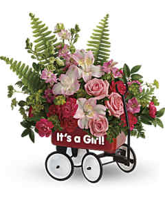 Baby Girl Wagon